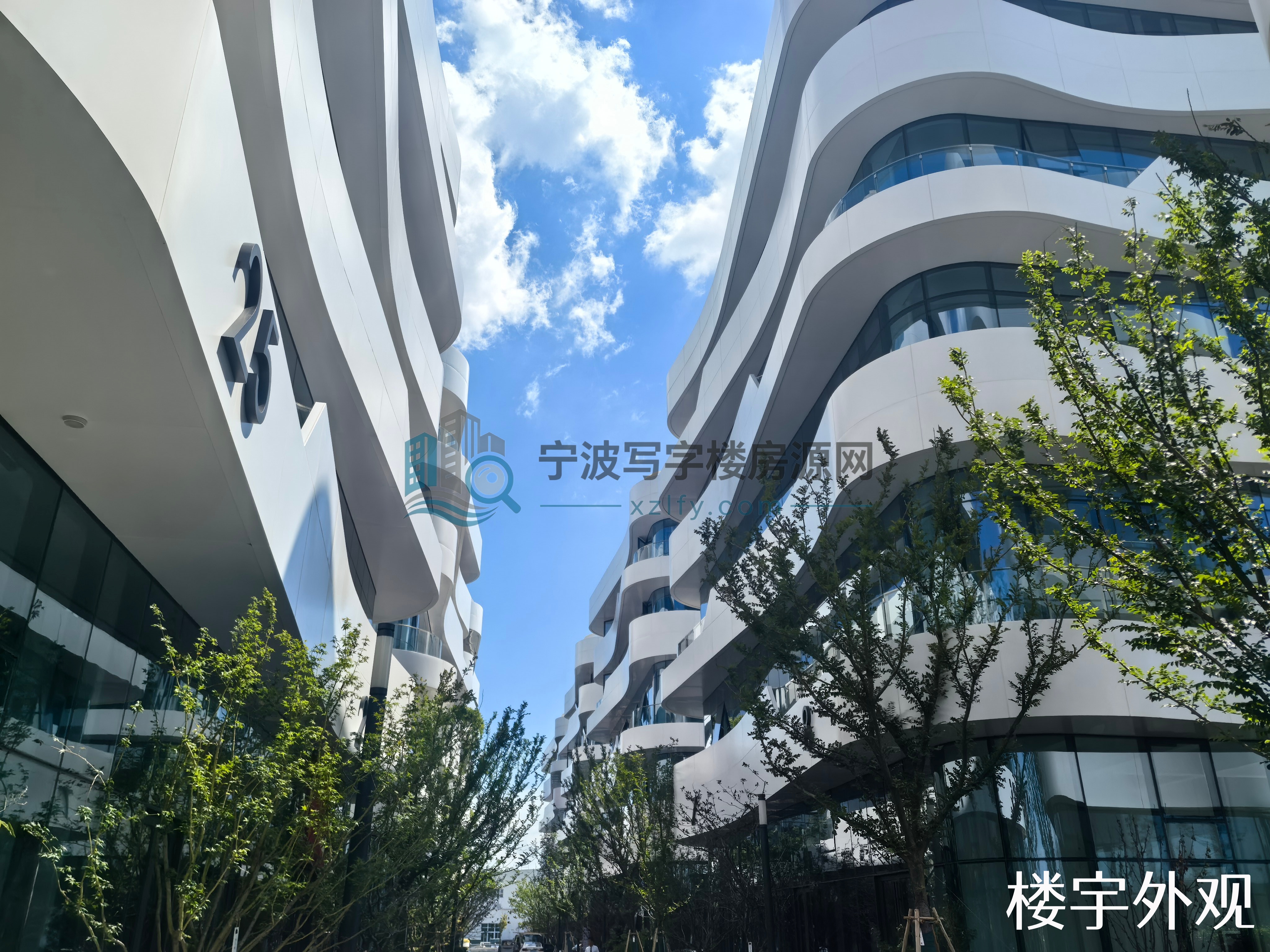 缩略图3